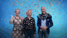 Chateau Meiland Feest Animatie Gif