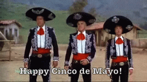 Cinco De Mayo Funny Animatie Gif