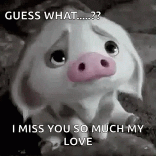 Disney Moana Animatie Gif