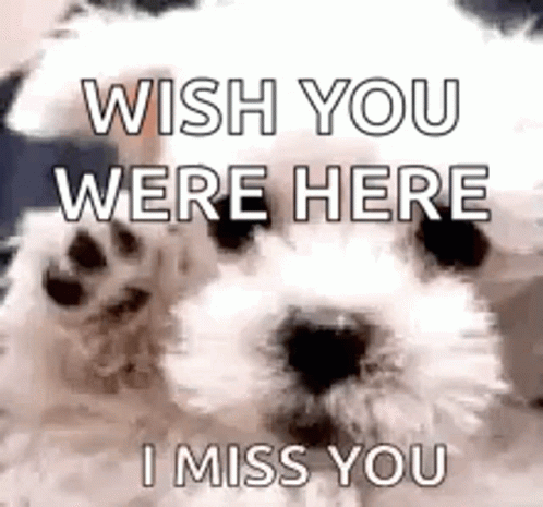 Goodbye Dog Animatie Gif