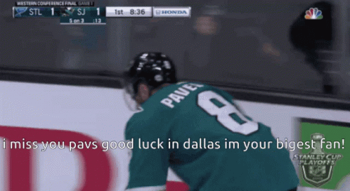 Nhl Succes Animatie Gif