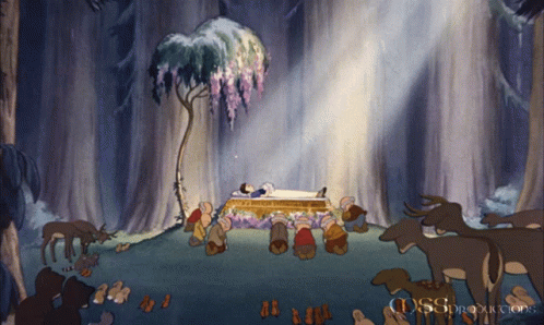 Sleeping Beauty Snow White Animatie Gif
