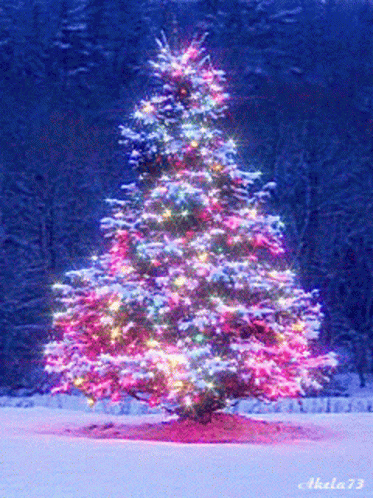 1657004577 Fijne Kerstdagen Gif Christmas Tree Animatie Gif