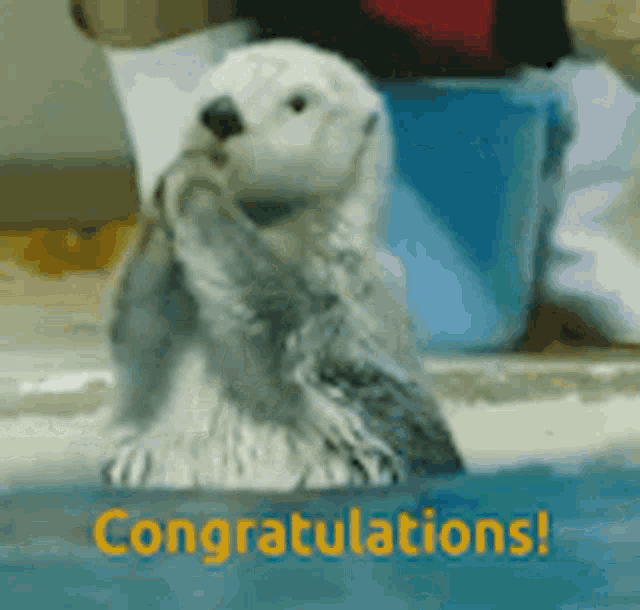 Gefeliciteerd Feest Animatie Gif