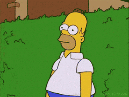 The Simpsons Homer Animatie Gif