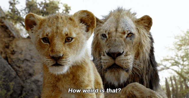 The Lion King Simba Animatie Gif