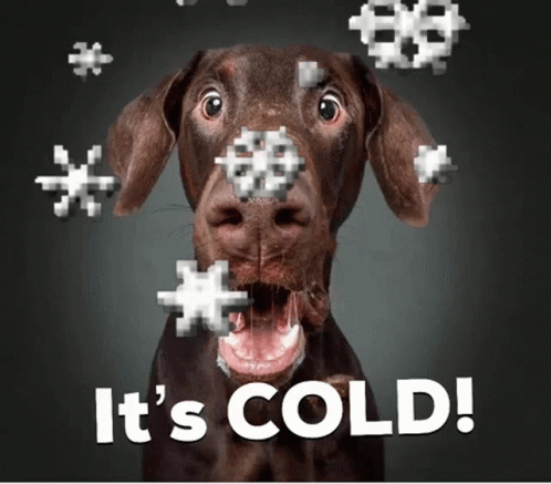 1667001295 Koud Freezing Animatie Gif