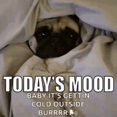 Hond Pug Animatie Gif