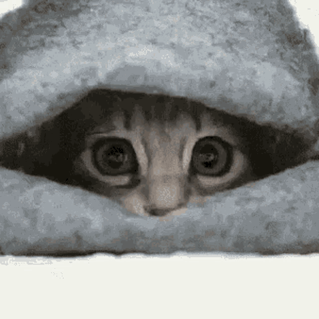 Its Koud Outside Iam Animatie Gif