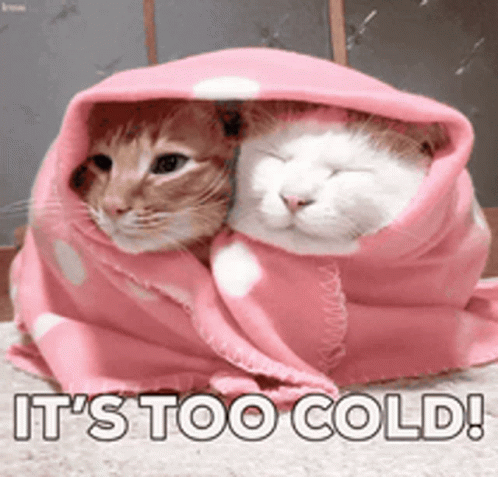 Its Too Koud Blanket Animatie Gif