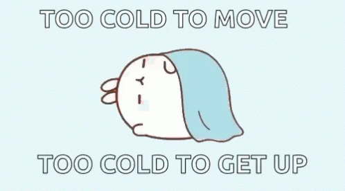 Too Koud To Get Up Lief Animatie Gif