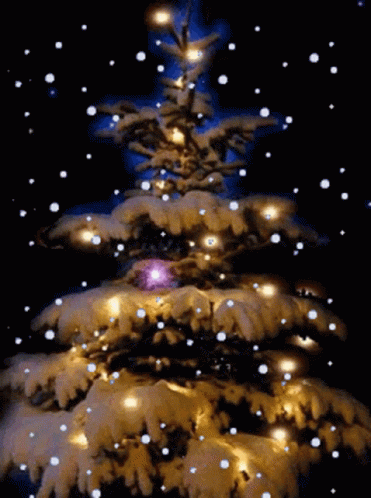 1671741597 Fijne Kerstdagen Gif Animatie Gif