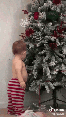 Christmas Surprise Animatie Gif