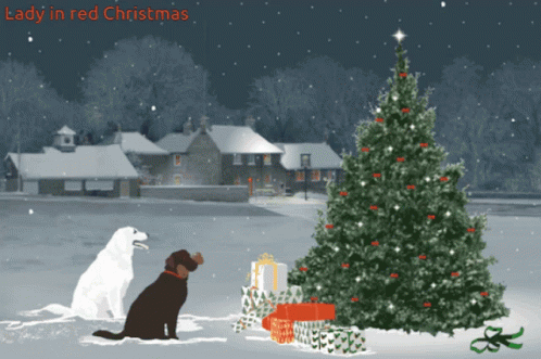 Christmas Tree Christmas Lights Animatie Gif