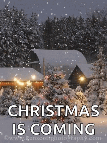 Christmas Tree Animatie Gif