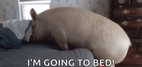 Pig Im Going To Bed Animatie Gif