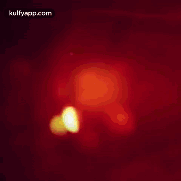 We Wish You A Very Gelukkig Nieuwjaaranimatie Gif Animatie Gif