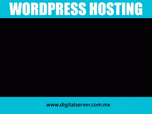 Web Hosting