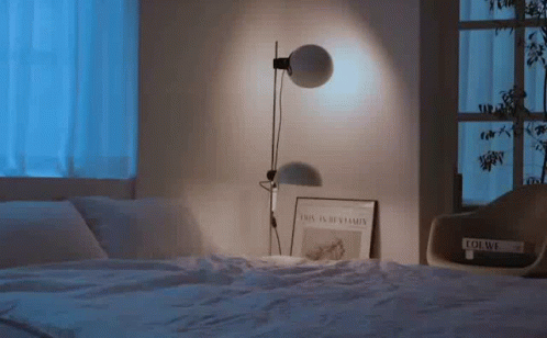 Bi Bed Animatie Gif