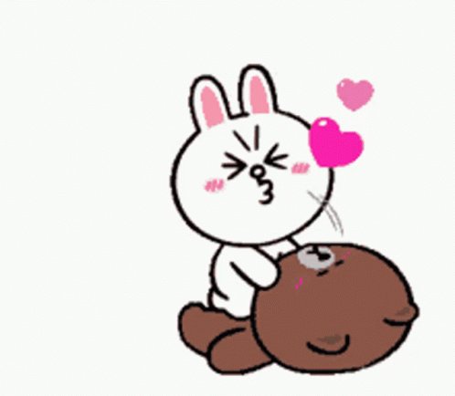 Cony And Brown
